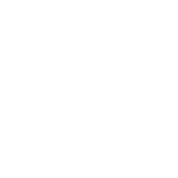 VEXOO Logo